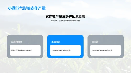 揭秘小满科学