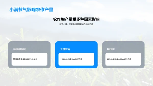 揭秘小满科学