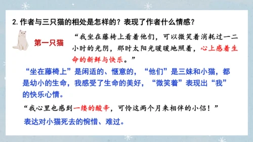 七年级语文上册第五单元  人与动物（大单元教学） 课件(51张PPT)