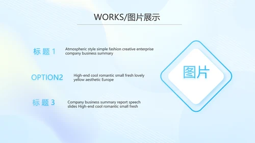 蓝色大气公司产品介绍图片展示PPT动态模板