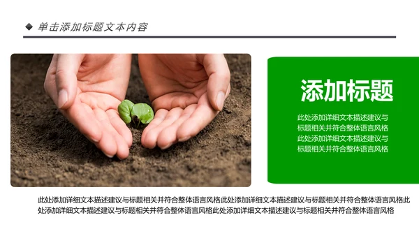 绿色唯美植物生长敬畏生命发芽PPT模板