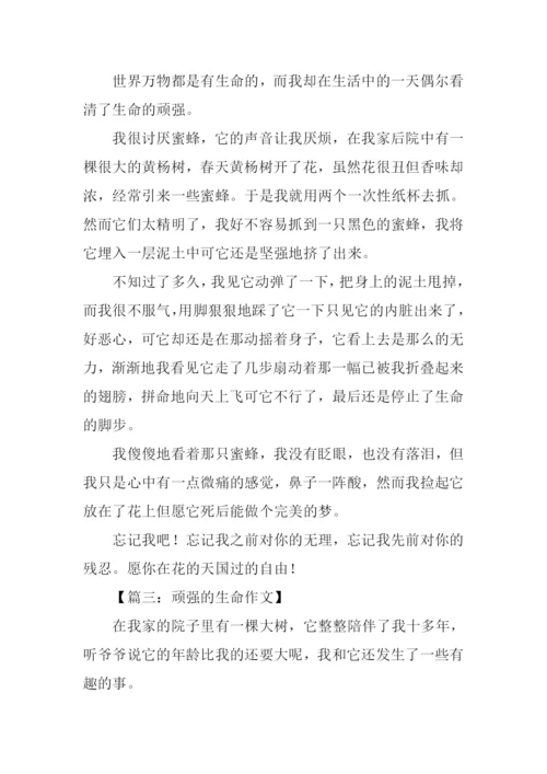 顽强的生命作文350字.docx