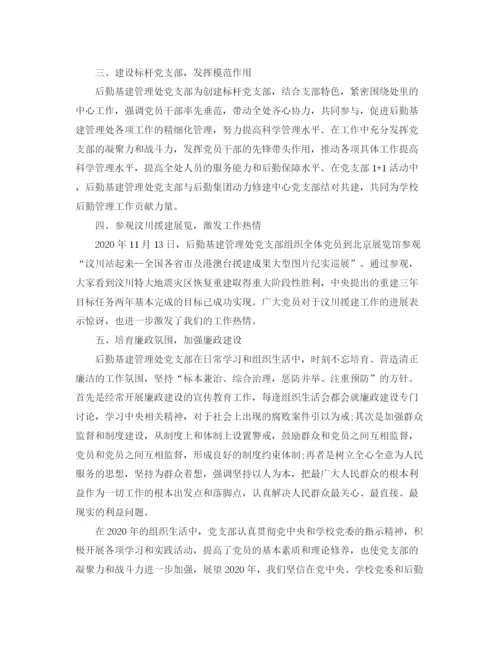 精编之党支部工作总结范文2.docx
