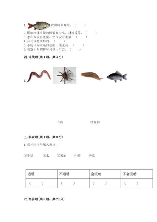 教科版一年级下册科学期末测试卷带答案（实用）.docx