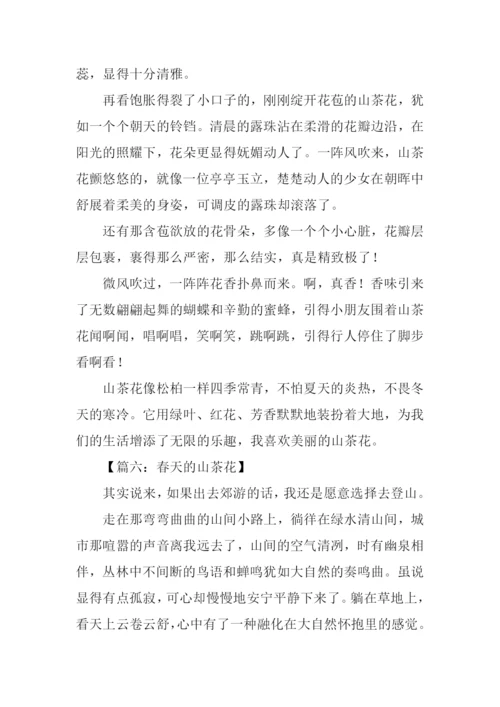 春天的山茶花作文600字.docx