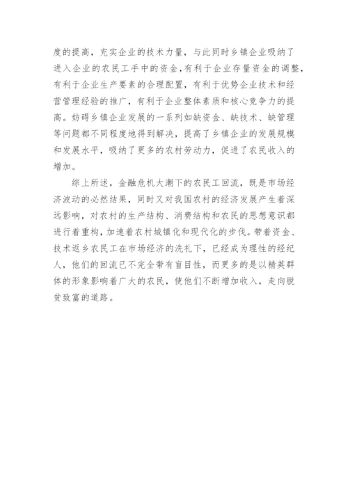 农民工回流对我国农村经济结构及农民收入的影响论文.docx