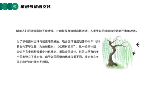 3月12日植树节知识介绍主题活动班会课件通用PPT模板