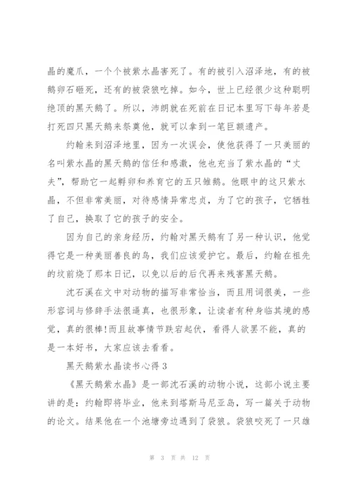 黑天鹅紫水晶读书心得10篇.docx