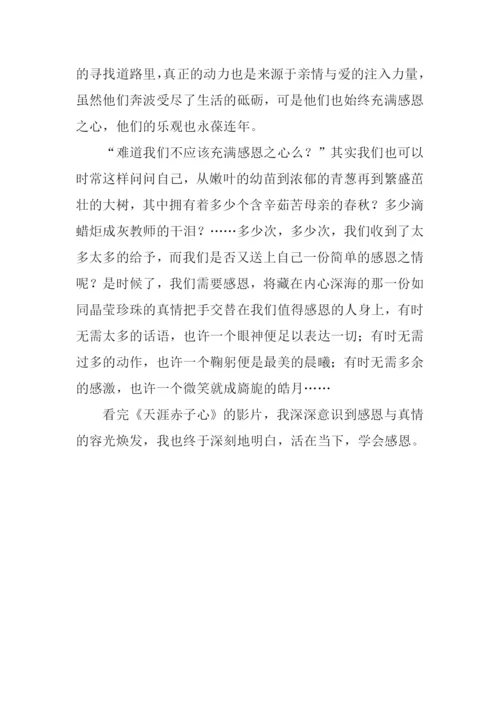 天涯赤子心观后感.docx