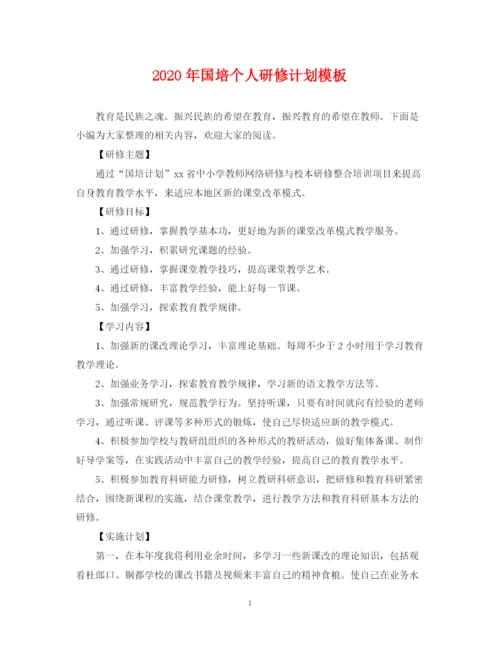 精编之年国培个人研修计划模板2.docx