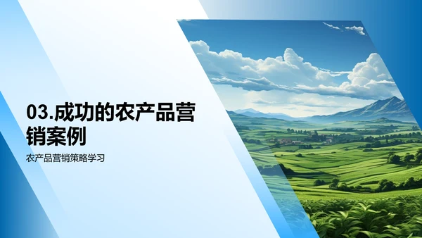 农产品营销策略