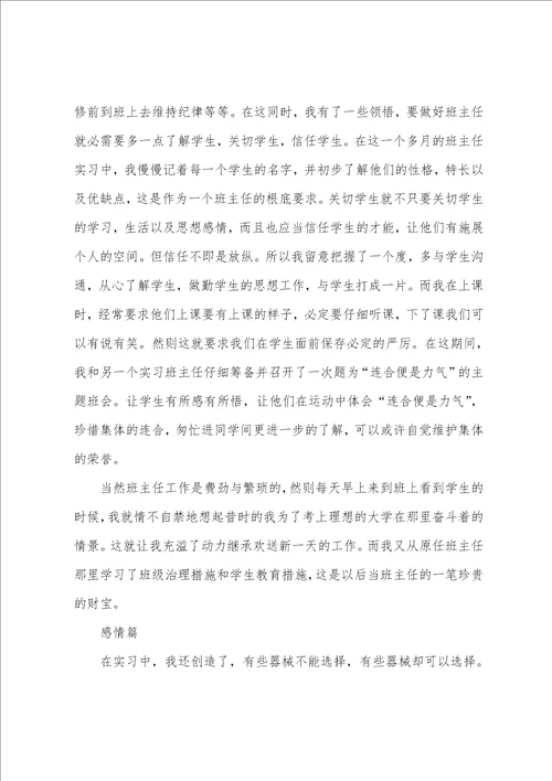 个人教导实习总结范文