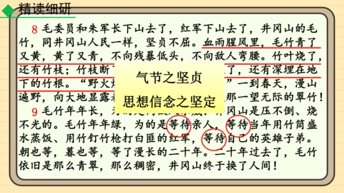 20 井冈翠竹 课件