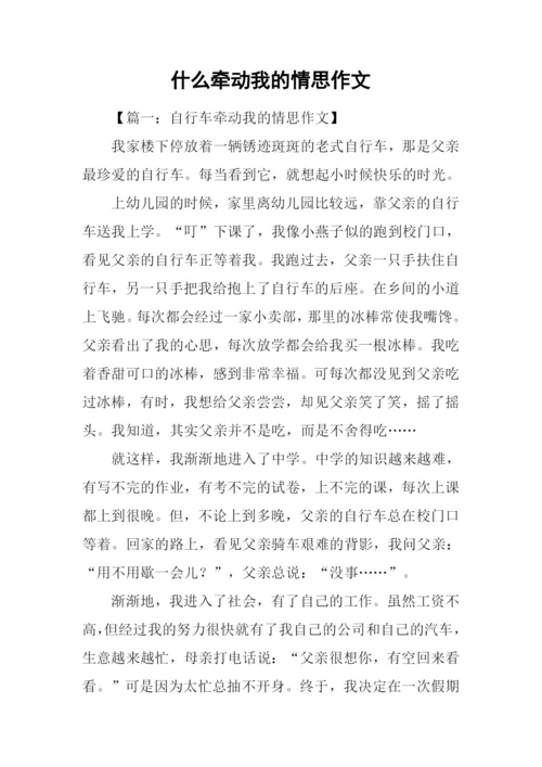 什么牵动我的情思作文.docx