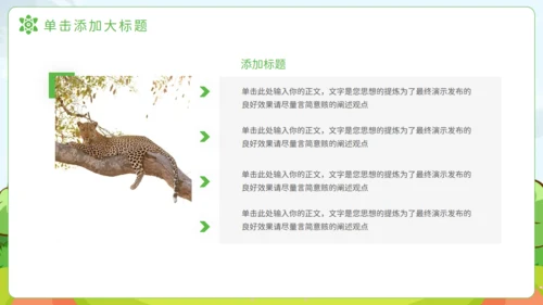 猎豹动物知识普及通用PPT模板