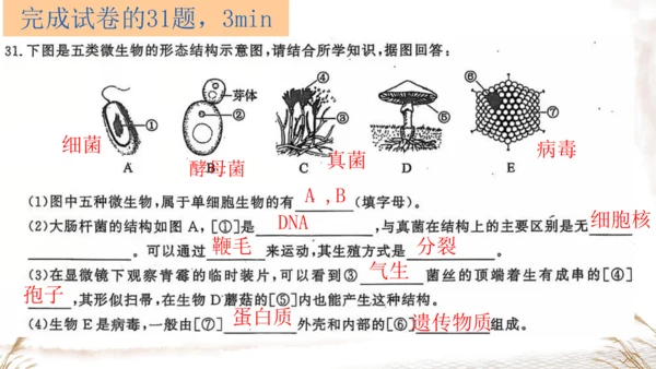 人教版七上2024第二单元复习课件(共20张PPT)