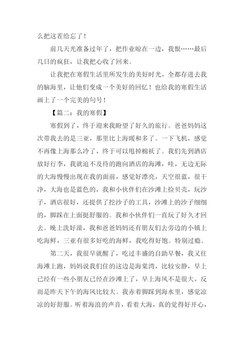 我的寒假作文600字.docx