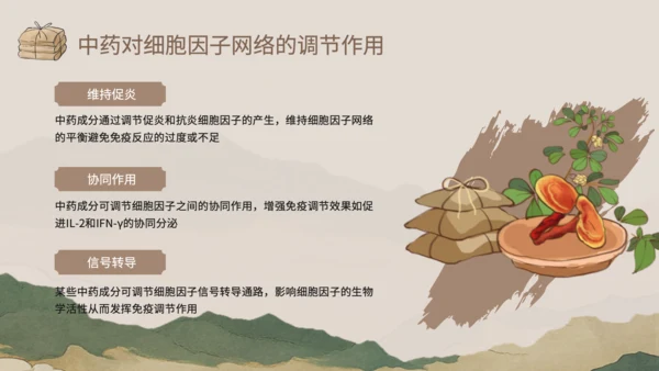 浅棕色中国风中医药对免疫系统调节PPT