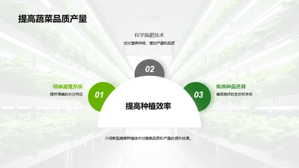 科技引领蔬菜新革命