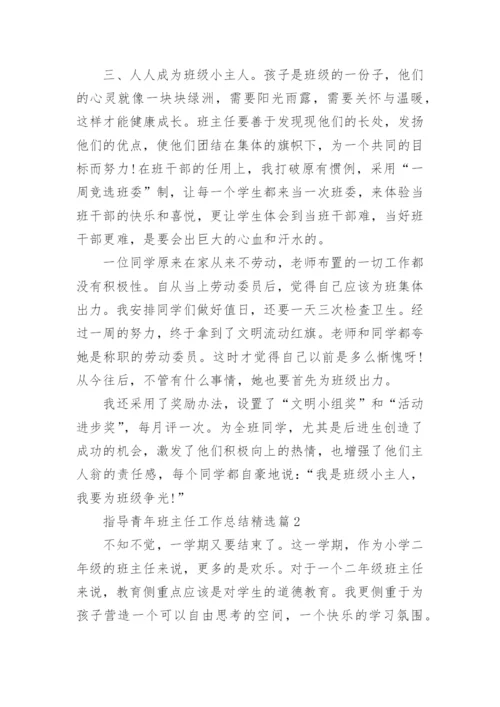 指导青年班主任工作总结5篇.docx