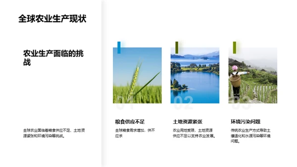科技农业：未来之路