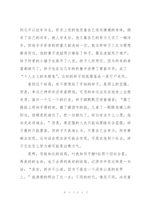 骆驼祥子读后感优秀作文300字5篇.docx