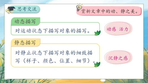 【核心素养】部编版语文五年级下册-语文园地七（课件）