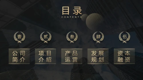 城市风云商业计划书通用PPT模板