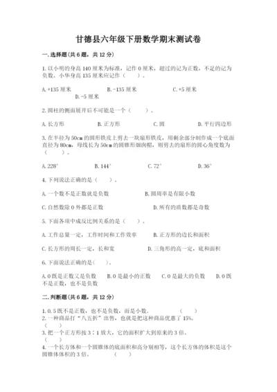 甘德县六年级下册数学期末测试卷（模拟题）.docx