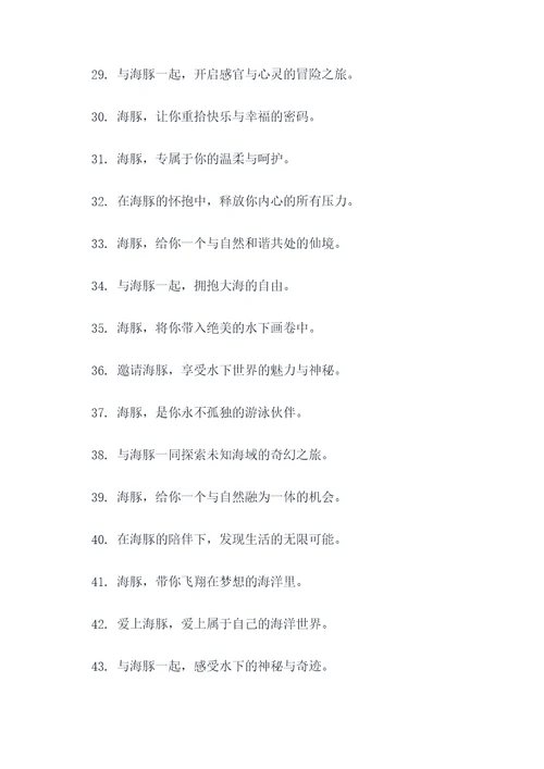 海豚的一句广告语大全