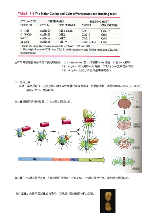 高中生物竞赛细胞的生活