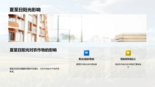 夏至影响下的农业