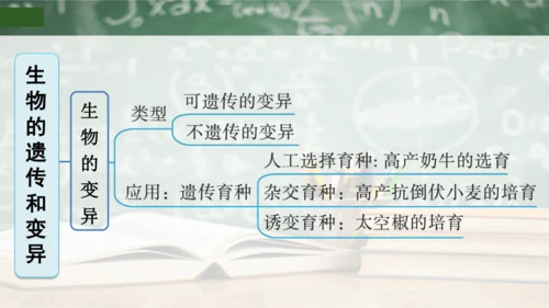 第2章 生物的遗传与变异（复习课件）-八年级生物下册章末知识总结 检测卷（人教版）(共19张PPT)