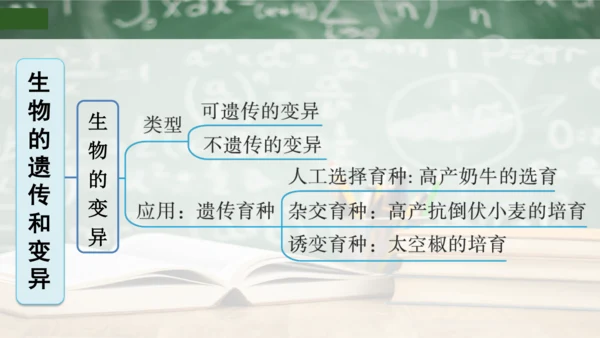 第2章 生物的遗传与变异（复习课件）-八年级生物下册章末知识总结 检测卷（人教版）(共19张PPT)