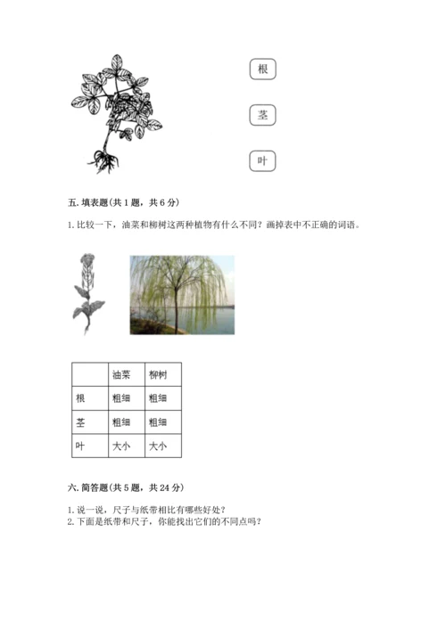 教科版一年级上册科学期末测试卷附答案（巩固）.docx