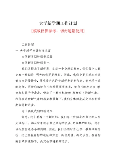 大学新学期工作计划(共15页)