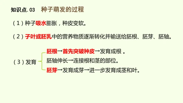 3.1.1 种子的萌发-七年级生物下学期同步精品课件（2024人教版）(共25张PPT)