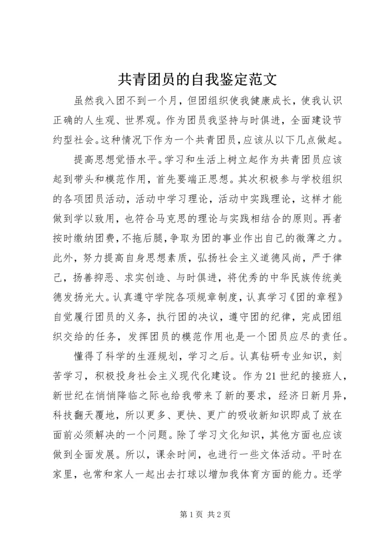 共青团员的自我鉴定范文.docx