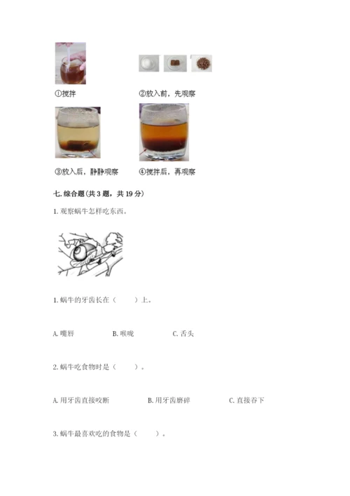 教科版一年级下册科学期末测试卷加精品答案.docx