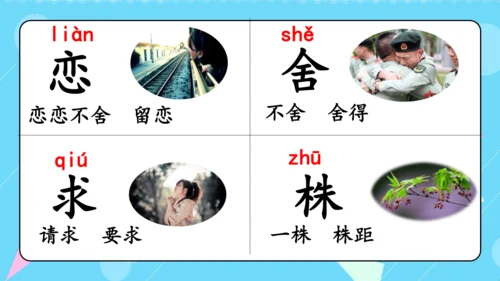 第8课《池子与河流》（教学课件）