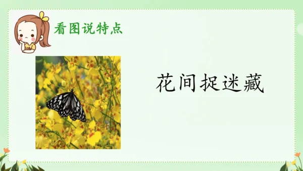 识字（二）5动物儿歌（课件）