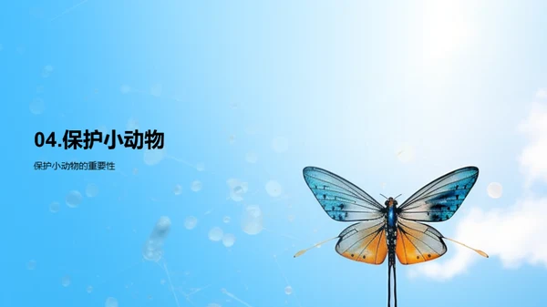 保护小动物