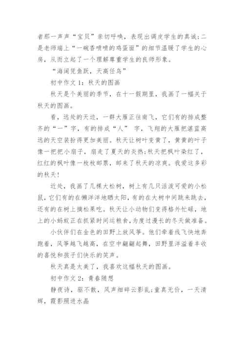 初中语文作文选材技巧.docx