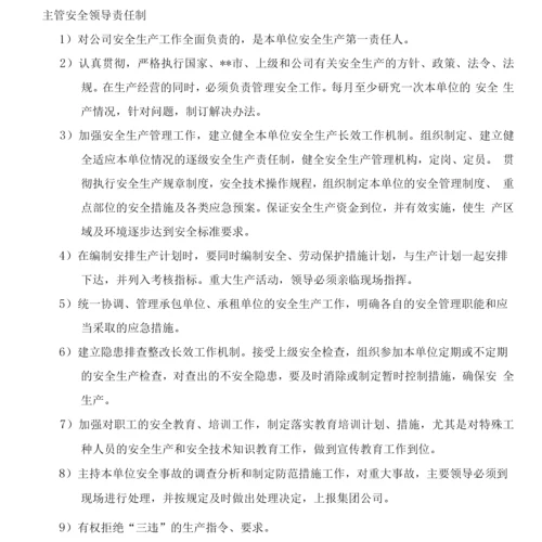 主管安全领导安全责任制.docx