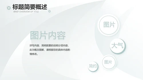 高端品牌介绍策划方案工作总结计划PPT