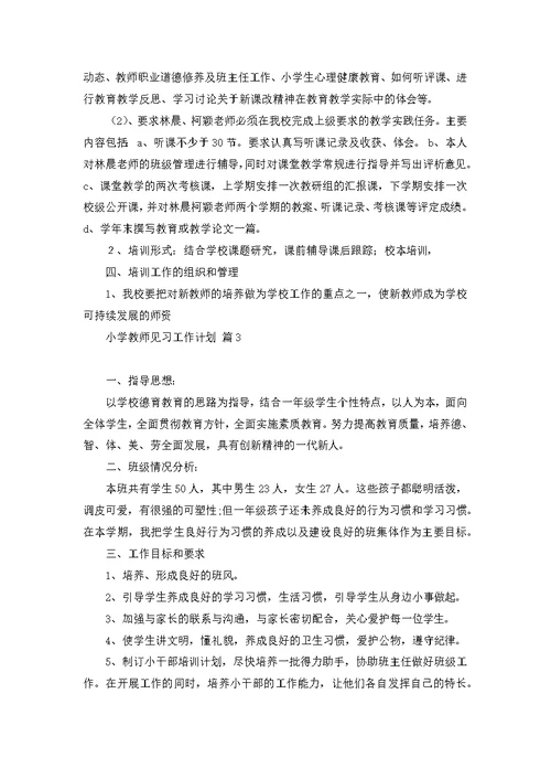 小学教师见习工作计划4篇