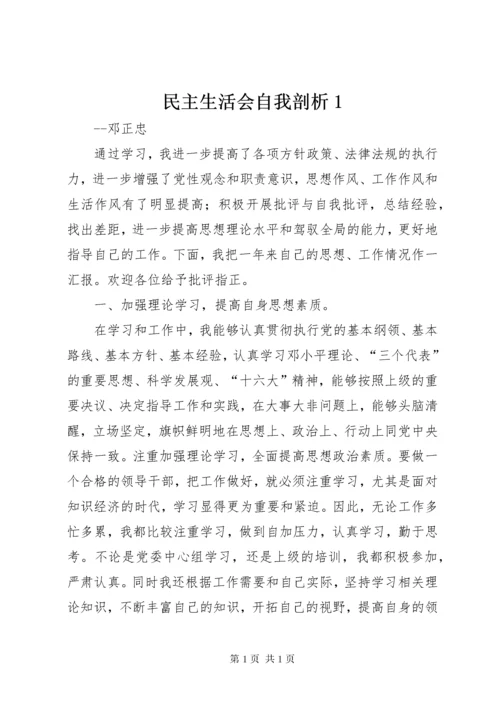 民主生活会自我剖析1.docx