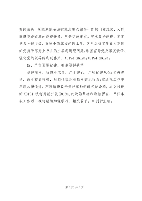 抽调巡视巡察期间个人工作总结.docx