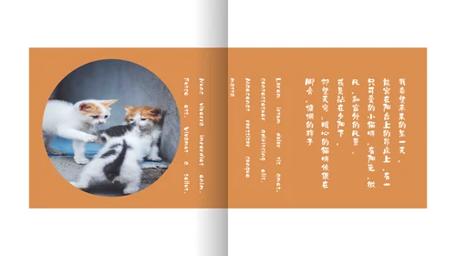简约宠物萌宠画册电子相册通用PPT模板