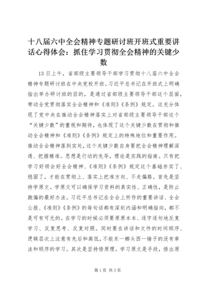 十八届六中全会精神专题研讨班开班式重要讲话心得体会：抓住学习贯彻全会精神的关键少数.docx